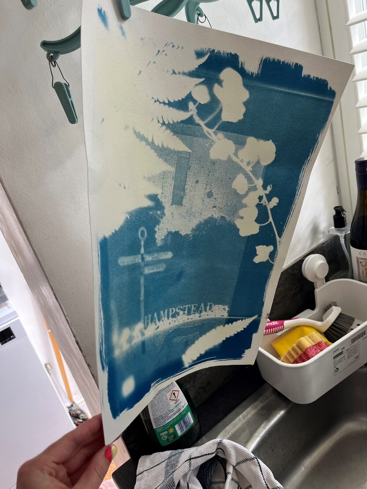 A cyanotype print showing leaves and a signpost. Image ©Rose Wilkinson