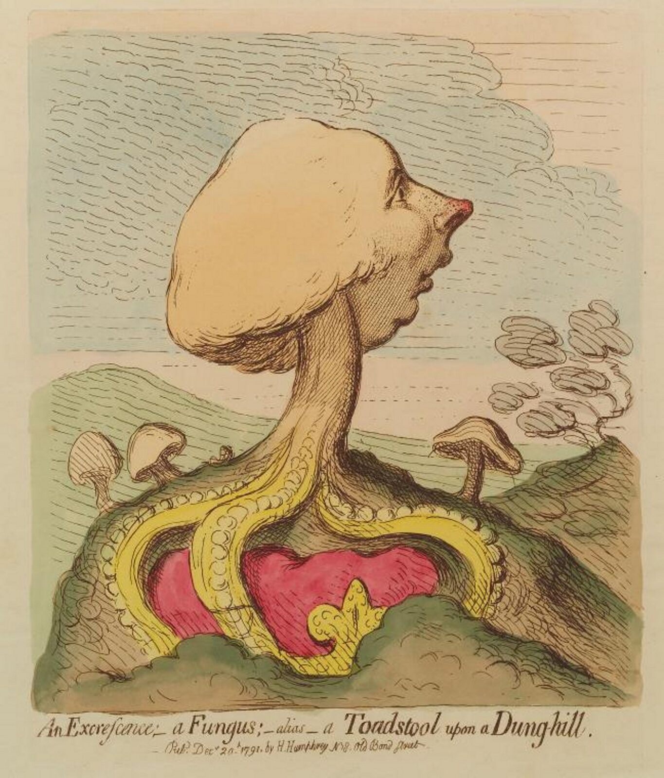 An excrescence;-a fungus;-alias-a toad-stool upon a dung-hill. Image courtesy of New York Public Library